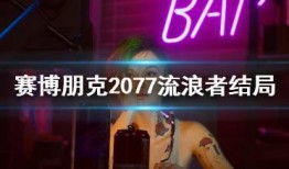 流浪者早期爆料视频,真实生活背后的心酸与挑战