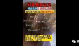 郑爽综艺视频录音爆料,娱乐圈背后的真实故事